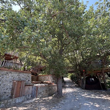 B & B Le Casette Sull'Albero Di Villa Alba Месина Екстериор снимка
