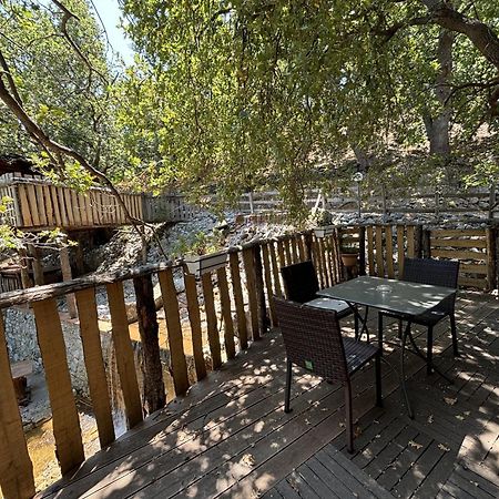 B & B Le Casette Sull'Albero Di Villa Alba Месина Екстериор снимка