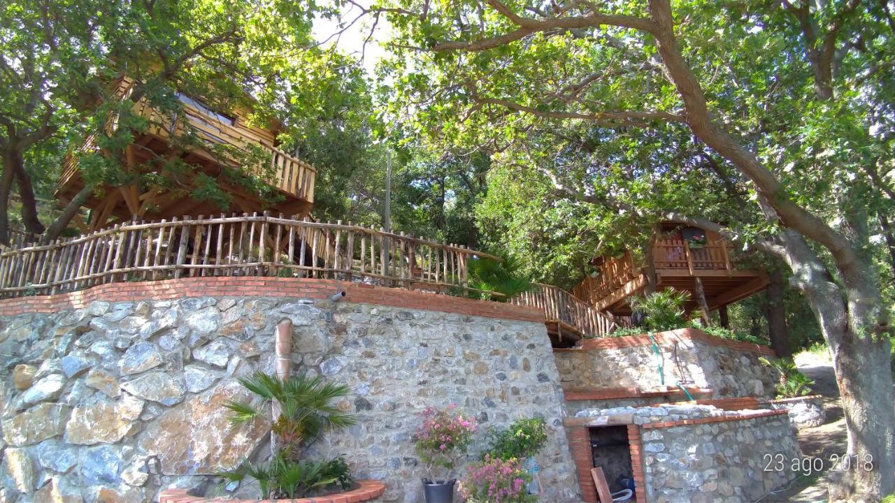 B & B Le Casette Sull'Albero Di Villa Alba Месина Екстериор снимка