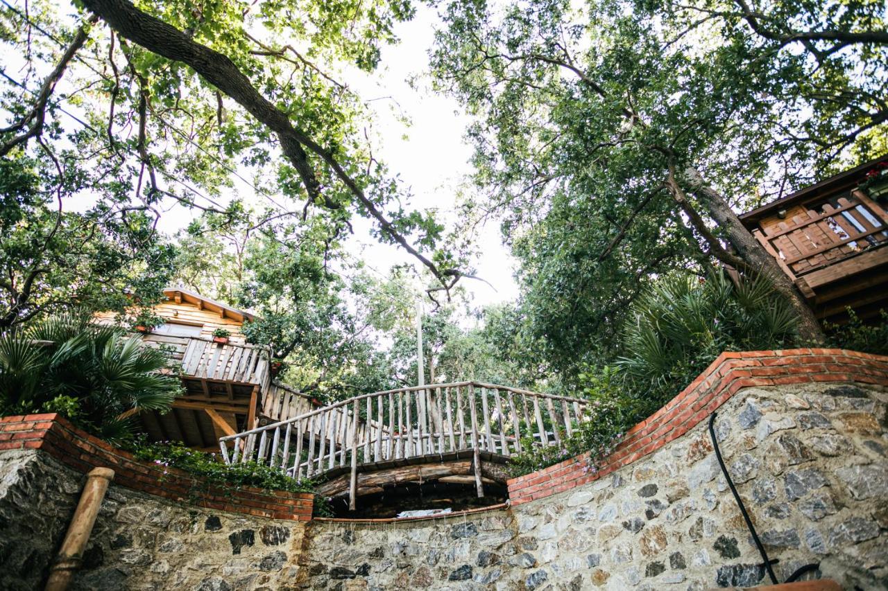 B & B Le Casette Sull'Albero Di Villa Alba Месина Екстериор снимка