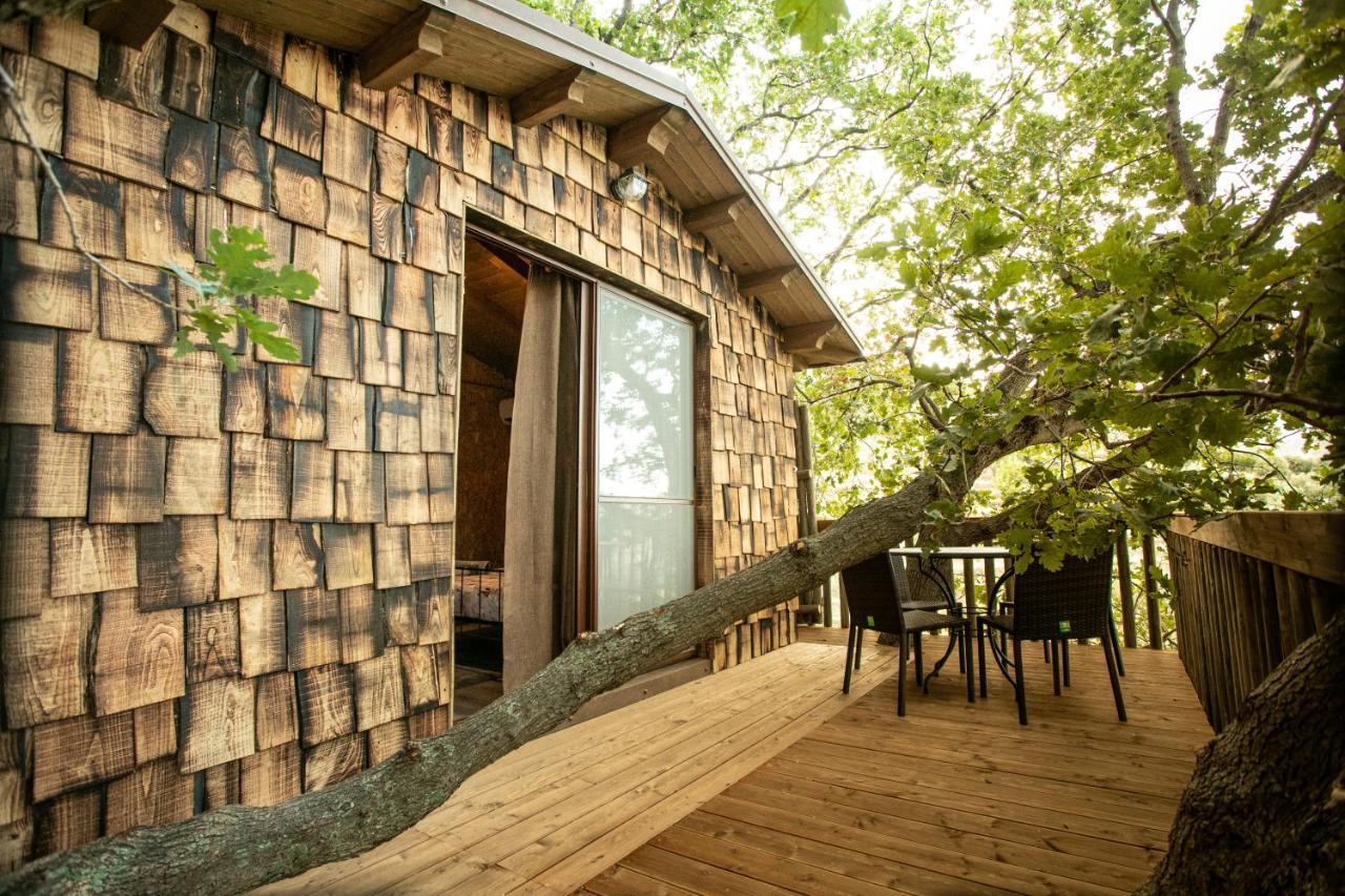 B & B Le Casette Sull'Albero Di Villa Alba Месина Екстериор снимка
