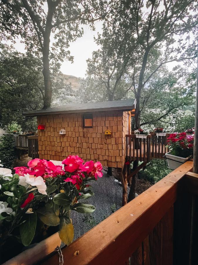 B & B Le Casette Sull'Albero Di Villa Alba Месина Екстериор снимка