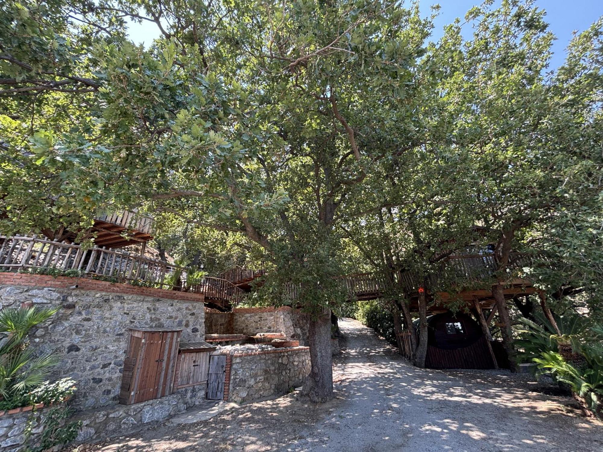 B & B Le Casette Sull'Albero Di Villa Alba Месина Екстериор снимка